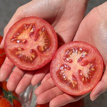 당뇨에좋은과일 못난이토마토 국산 3kg 5kg 주스용토마토, 쥬스용 완숙 찰토마토 3kg