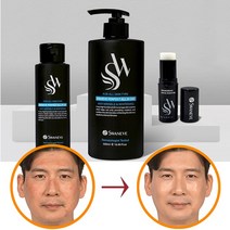 스와니브 퍼펙트 올인원 스킨에세스 남성 화장품, 2세트[500ml 2개+100ml 2개+스틱퍼퓸1개]
