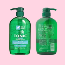 올인원 논 실리콘 없는 프리 쿨 샴푸 린스 모발 관리 케어, 600ml, 1개
