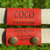 코코방스 강아지 고양이 반려견 천연가죽 인식표 똑딱이, 바탕체, 진브라운