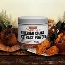 캐나다 노스웨스트 순수 100% 10배 고농축 차가버섯 분말 150g, 2개