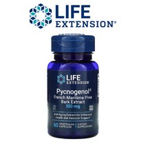 라이프익스텐션 피크노제놀-프랑스해안송껍질추출물 100mg 프로시아니딘 60 베지캡슐