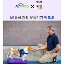Fitpaws 핏포즈 강아지 훈련 노견 슬개골 디스크 허리 재활 치료 운동 짐볼 K9FITbone, 미듐 1세트, 오렌지