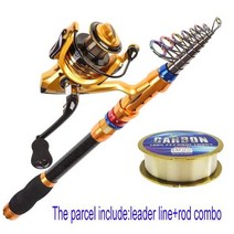 낚싯대 탄소 플라이 섬유 초경량 낚시대 스피닝 휴대용 초보 바위 얼음 루어 릴 및 콤보 바닷물 민물-12피트 텔레스코픽 및 콤보, 3.0m_CN