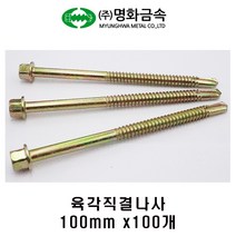 (주)명화금속 육각직결나사 판넬나사 100mm x100개, 100개