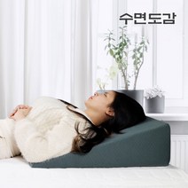 수면도감 위편한 위산 역류방지 쿠션 베개