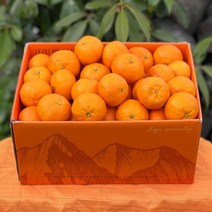 카라향 제주 감귤 귤로향 1kg 2kg 4.5kg, 중과(40-60과), 1개
