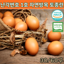 무항생제 계란 난각번호1번 자연방사 유정란 토종란 자연 방목계란 1번계란 동물복지 부화용유정란 신선란 토종닭 알 달걀 프리미엄 유황 30구, 토종란 30구