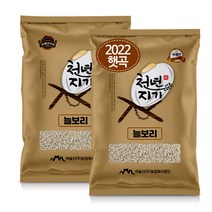 [현대농산늘보리] 천년지기 늘보리쌀 10kg 2022년산 늘보리 햇보리쌀, 1포