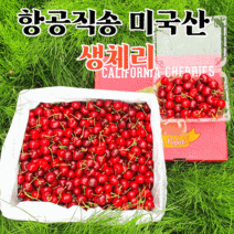 켈리포니아 미국산 생체리 9.5~10R 특가할인, 1개