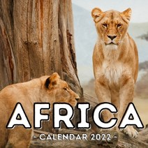 (영문도서) Africa Calendar 2022: 16-Month Calendar Cute Gift Idea For Africa Lovers Women & Men Paperback, Independently Published