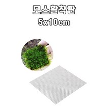 모스 활착판 5x10cm 스테인레스 활착판 불꽃 모스