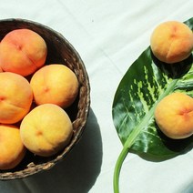 경북 영양 찬이슬 황도 복숭아 4kg(11-12과), 단품