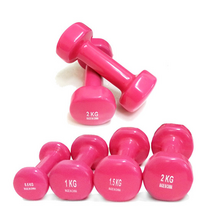 프로모릭스 PVC 미용아령 2개세트 0.5~2KG, PVC 미용아령 1Kg (0.5Kg X 2)