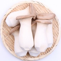 새송이버섯(특)2kg 팔팔마켓 국산 새송이 생버섯, kg