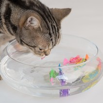묘심 로봇물고기 고양이 자동장난감 레이져가 뿜뿜 2마리 4마리 6마리 옵션선택