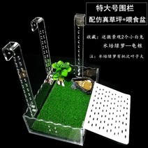 거북이 키우기 육지 잔디 꼬북 계단 아크릴 거북이 어항 일광욕 쉼터, R타입
