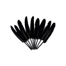 거위깃털 소 약1.5~1.8cm×12~15cm 검정 100개 자연재료 거위털 인디언장식 노리프렌즈 만들기재료