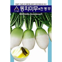 아시아종묘 천명동치미 무씨앗 무우씨 김장무씨 동치미종자 (2000립), 동치무씨앗 2000립
