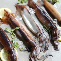 포항수산물 포항 통찜오징어 1kg 8미 내외 (급냉), 1개