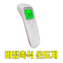 비접촉체온계 온도계