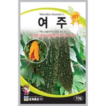 여주10립 씨앗 세계, 1개