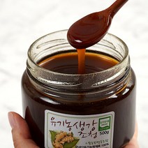 유기농 생강조청 500g, 단품