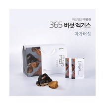 차가버섯(국내산) 진액 80ml x 30포 건강/식품/엑기스/녹즙/진액/도매/음료/선물/농축/액상차, 단일 수량