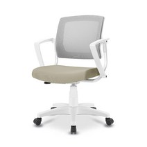 에어론 제우스 ZW380 학생 오피스 사무용 컴퓨터 의자 체어, 베이지+그레이, 팔걸이 추가