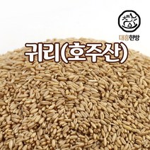 대흥한방 귀리 500g 캐나다, 1개