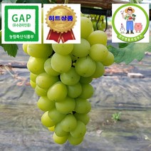 [천안명품로컬푸드]국내최초 로컬푸드 온라인 전용매장 샤인마스켓 농부 직접 수확 당일발송 미국 수출포도 착한가격 1kg 2kg 4kg (에어백포장 2kg주문시 포도즙증정), 4kg(특)