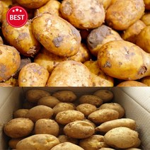 2023년 강원도 고랭지 햇 설봉감자 특상 사이즈 5kg 10kg 20kg 포근포근감자 강원도설봉감자 감자5키로 10키로 20키로 포근포근 설봉감자, 설봉감자 특 5kg