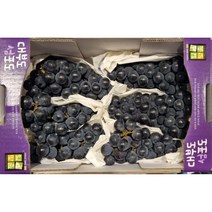 국산 캠벨포토 남원 대부도 송산 상주 포도 2kg 당도보장 당일배송, 캠벨포도1kg, 1개