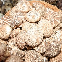 국내산 명품 자연산표고버섯 1kg 1키로 원목 포고