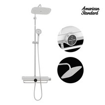American Standard - 해바라기 레인 샤워기 선반 필터형 녹물제거 필터교체 LED 샤워수전 수도꼭지, 플랫 내츄럴 샤워기 FC-5791(필터미포함)