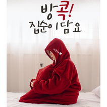 입는담요 입는이불 입을 수 있는 집순이 집돌이 캠핑 망토 담요 후드담요