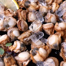 국내산 통영 자숙 홍가리비살 500g