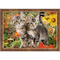 캐스토랜드 고양이 친구들 미니퍼즐 1500피스 직소퍼즐액자 LD151899, 퍼즐+앤틱골드액자