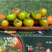 23년 첫 출하 부산 대저 짭짤이 짭짜리 토마토 2.5kg 당일수확 2S 3S 로얄과, 짭짤이토마토 로얄과2S, 1kg(맛보기용)