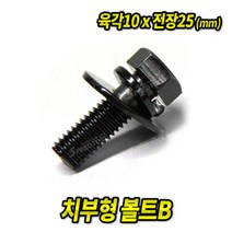 치부볼트B 10x25mm (100EA) 차량용 볼트 너트 와샤