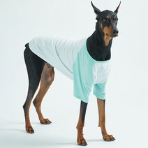 럭키페터 나그랑 강아지 티셔츠 화이트 시리즈, 화이트/민트