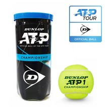 던롭 캔볼 ATP 챔피언쉽 공식 테니스공 시합구 캔볼 1캔(2입), 낫소 위닝샷 테니스공(2볼1캔)