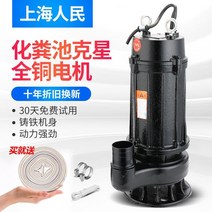 단독 정화조 펌프 배수 수중 소형 고압 처리 설치 양수기 오물 슬러지 가정용, HYeQ-220V1500와트2인치펌프