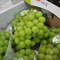 [부자농산] 고당도 프리미엄 샤인머스켓 망고포도 상주 김천 영천 경산 영동 안성 선물 세트, 특등급 샤인머스켓 2kg 3송이, 1개