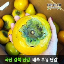 이츠올릿 프리미엄 태추 단감 대34~38과 10kg 땡감 진영 부유 대추 창원 청도 창녕