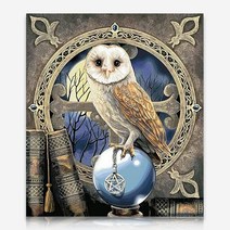 크리스탈 부엉이 DIY 보석십자수 십자수 비즈세트