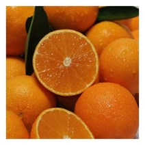 [팜쿡] 제주 조생 귤 4.5kg(L~2L/중대과)