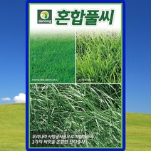 혼합풀잔디씨앗 잔디씨 종자 20kg, 단품