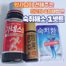 숙취해소 1셋트 숙취환 가네스 알지3 이엑스(약사추천), 1세트