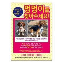 반려견찾기애완실종전단지 고양이 실종 강아지를찾아주세요 디자인무료, 샘플1, 50매
